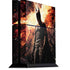 The Dark Knight Rises Movie Poster PlayStation PS4 Skins