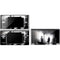 Warner Bros The Exorcist The Exorcist DS Lite Skin