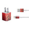 DC Comics The Flash Movie: Flash in Motion iPhone Charger (5W USB) Skin