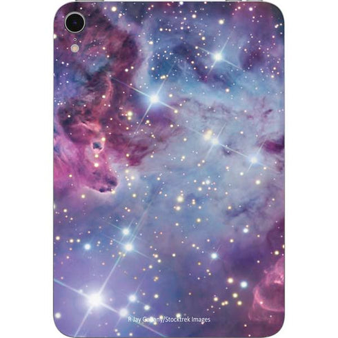 The Fox Fur Nebula Apple iPad Mini Skin