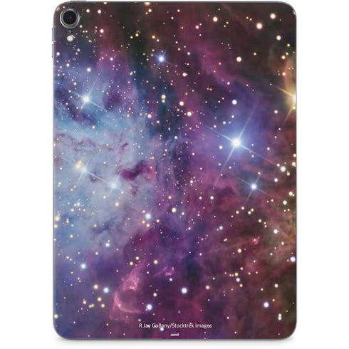 The Fox Fur Nebula Apple iPad Pro Skin