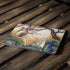 The Introduction by Amy Brown Apple MacBook Air Skin