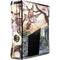 The Introduction by Amy Brown Xbox 360 Slim (2010) Skin