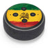 The Lion of Judah Rasta Flag Amazon Echo Dot Skin