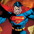 DC Comics Superman Action Pose Art By Jim Lee Dell Latitude Skin