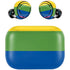 The Rainbow Flag Amazon Echo Buds Skin