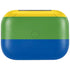 The Rainbow Flag Amazon Echo Buds Skin
