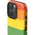 The Rainbow Flag iPhone 16 Pro Impact Case