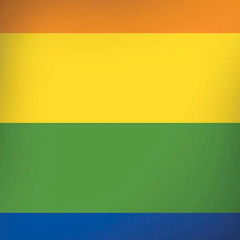 The Rainbow Flag Moto G6 Skin