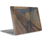 Edvard Munch The Scream Apple MacBook Air Skin