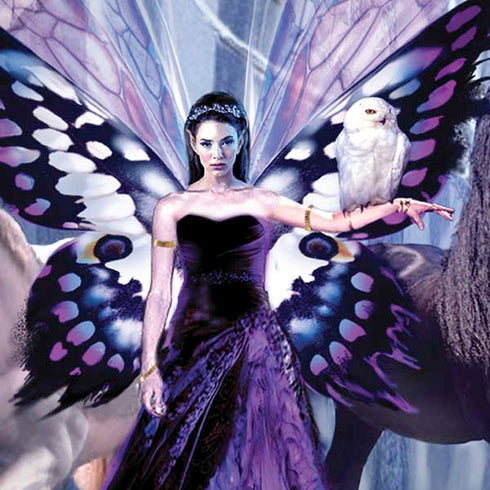 The Snow Queen by Ruth Thompson iPhone XS Max Skin