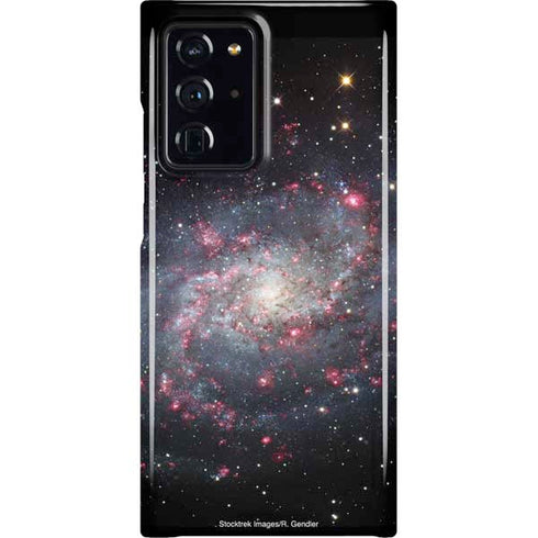 The Triangulum Galaxy Galaxy Cases