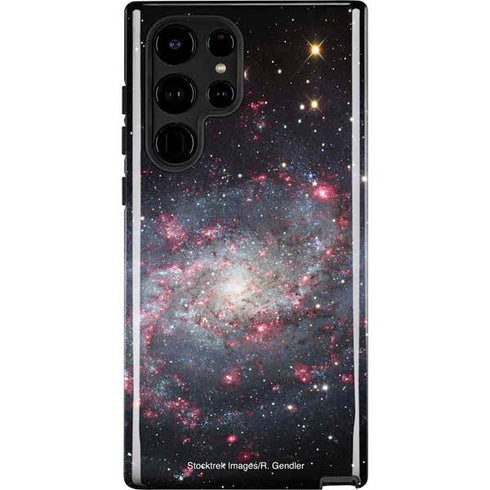 The Triangulum Galaxy Galaxy Cases