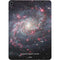 The Triangulum Galaxy Apple iPad Air Skin