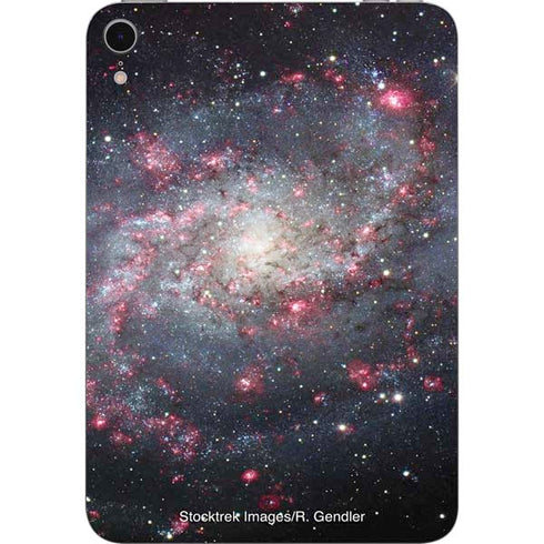 The Triangulum Galaxy Apple iPad Mini Skin