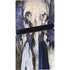 The Two Sisters by Amy Brown PS5 Pro Disk Console Skin