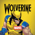 Marvel X-Men The Wolverine Amazon Echo Skin