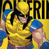 Marvel X-Men The Wolverine Legion Y720 Skin