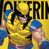Marvel X-Men The Wolverine Surface Book 2 13.5in Skin