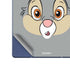 Disney Bambi Thumper Portrait Galaxy Z Fold6 Skin