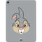 Disney Bambi Thumper Portrait Apple iPad Air Skin