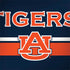 Auburn University Tigers AU Dell Latitude Skin