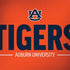 Auburn University Tigers Athletics MacBook Skins