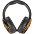 Tigress Skullcandy Venue Skin