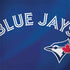 MLB Toronto Blue Jays Alternate Jersey Dell Latitude Skin