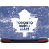 NHL Toronto Maple Leafs Frozen Legion Y720 Skin