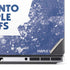 NHL Toronto Maple Leafs Frozen Dell Precision Skin