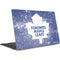 NHL Toronto Maple Leafs Frozen Dell XPS Skin