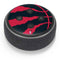 NBA Toronto Raptors Large Logo Amazon Echo Dot Skin