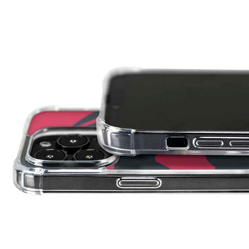 NBA Toronto Raptors Large Logo iPhone 16 Pro Max MagSafe Case