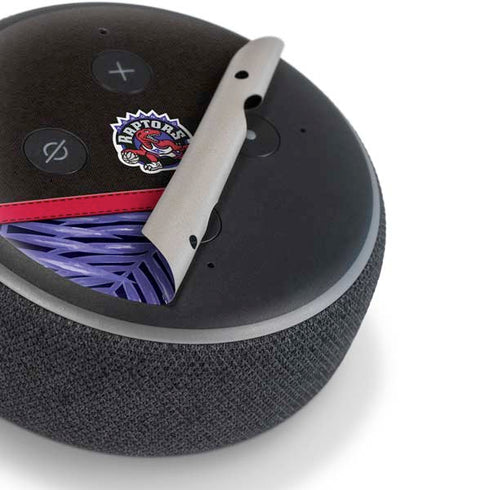 NBA Toronto Raptors Retro Palms Amazon Echo Dot Skin