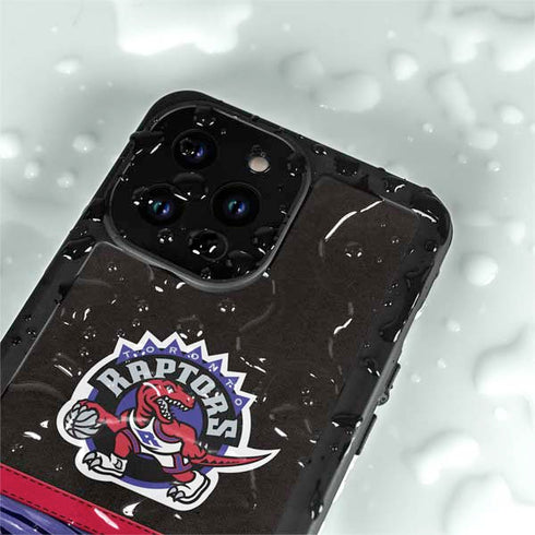 NBA Toronto Raptors Retro Palms iPhone 15 Pro Waterproof Case