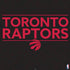 NBA Toronto Raptors Standard - Black PS4 Console Skin