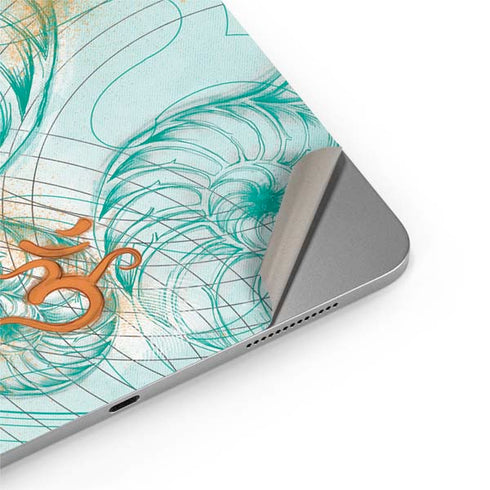 Tranquility Apple iPad Air Skin