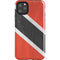 Trinidad and Tobagao Flag Distressed iPhone Cases