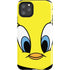 Looney Tunes Tweety Bird iPhone Cases