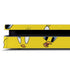 Looney Tunes Tweety Bird Super Sized Pattern PS4 Slim Skin