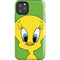 Looney Tunes Tweety Bird Zoomed In iPhone Cases