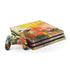Two Little Birds PlayStation PS4 Skins