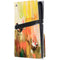 Two Little Birds PS5 Pro Disk Console Skin