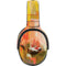 Two Little Birds Skullcandy Venue Skin
