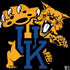 University of Kentucky UK Wilcats Mascot Dell Latitude Skin