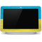 Ukraine Flag Distressed Google Home Hub Skin