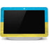 Ukraine Flag Distressed Google Home Hub Skin