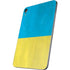Ukraine Flag Distressed Apple iPad Mini Skin