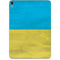 Ukraine Flag Distressed Apple iPad Pro Skin
